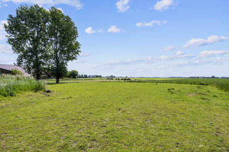 Ellerhuizen 13 tertiary image