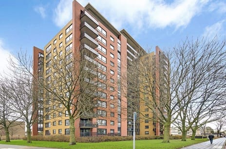 apartments for rent on Fluweelboomlaan 33