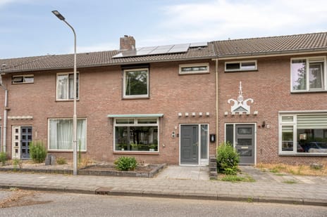 undefined main image