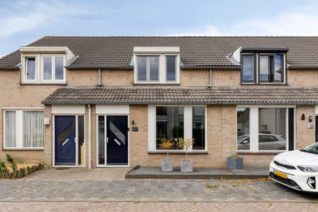 De Knolraap 10 main image
