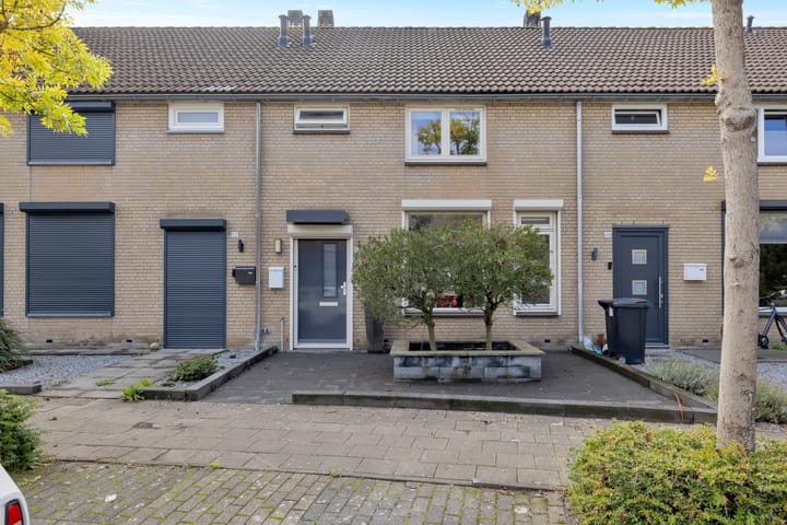 Roerdomp 50 main image
