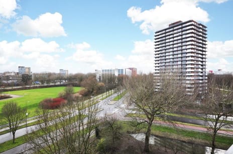 Stadhoudersring 252 main image