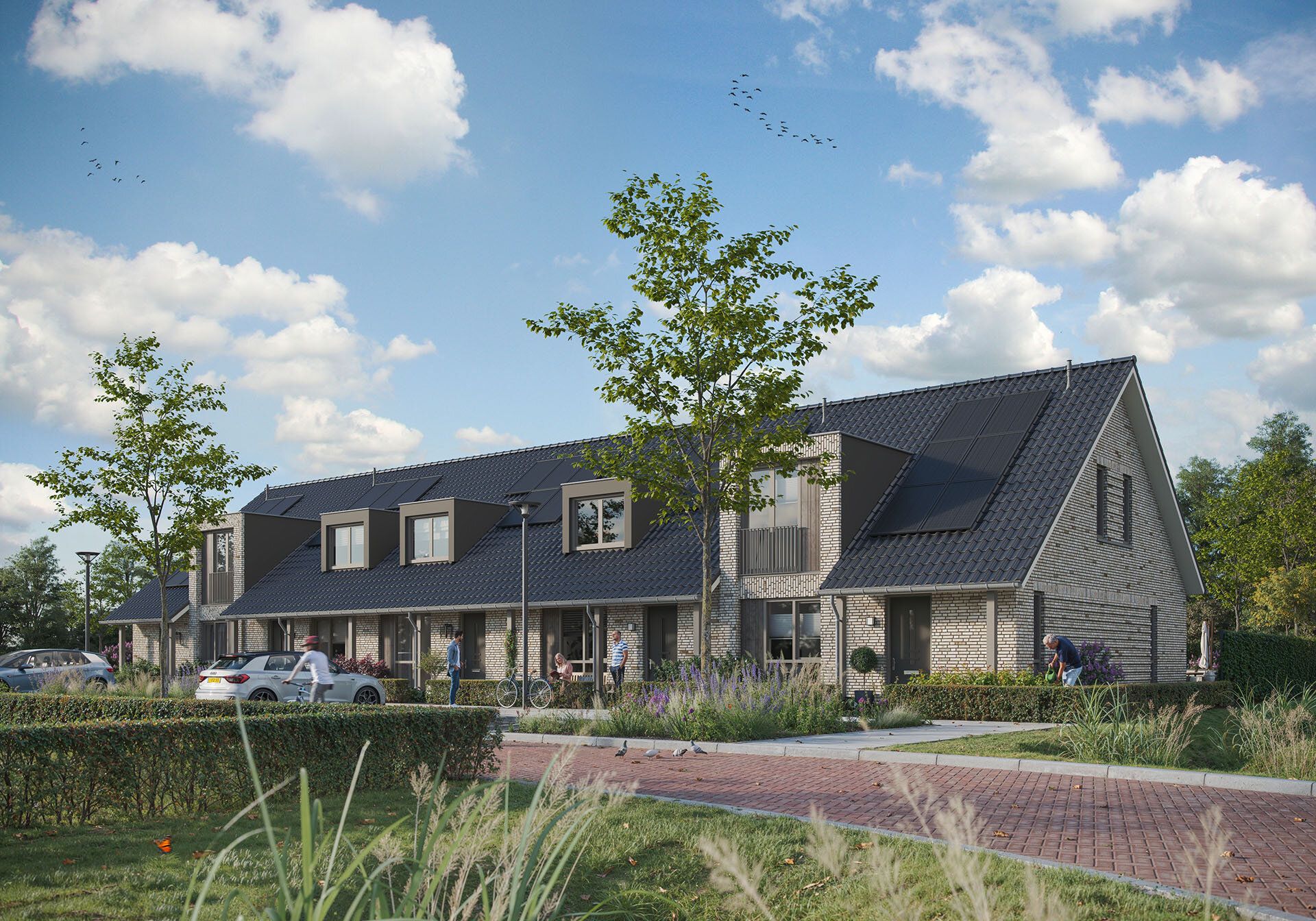 Foto van 't Veld fase 5