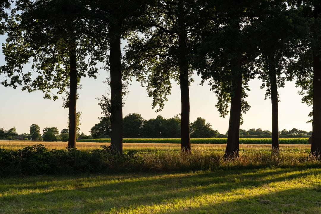 Foto 19 van Wonen in het Veld