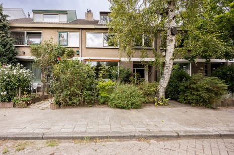 Buizerdstraat 84 main image