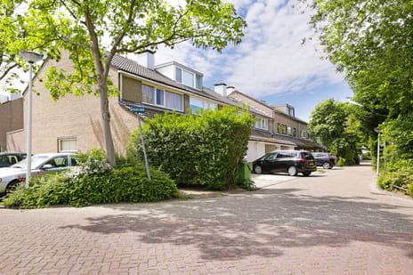 Maanvlinder 10 main image