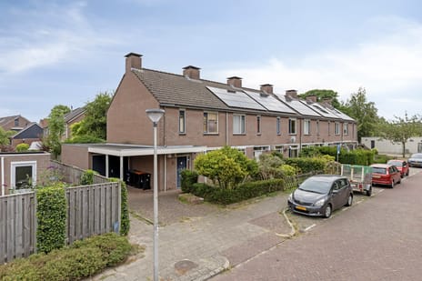 undefined main image