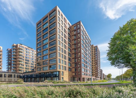 Mahoniehout 138
