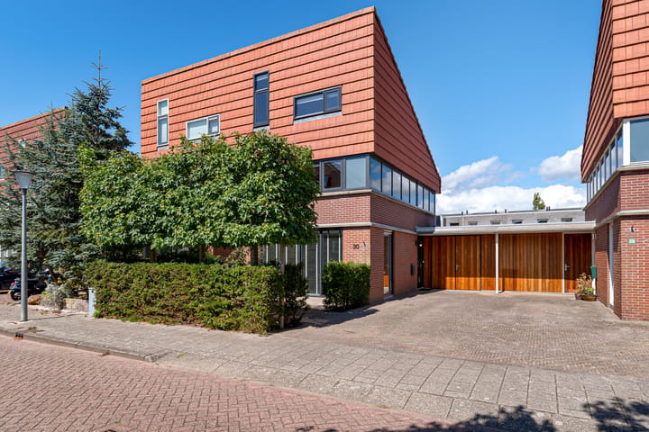 Dorsvlegel 30 main image