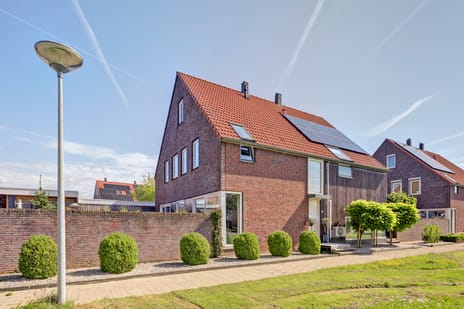 undefined main image
