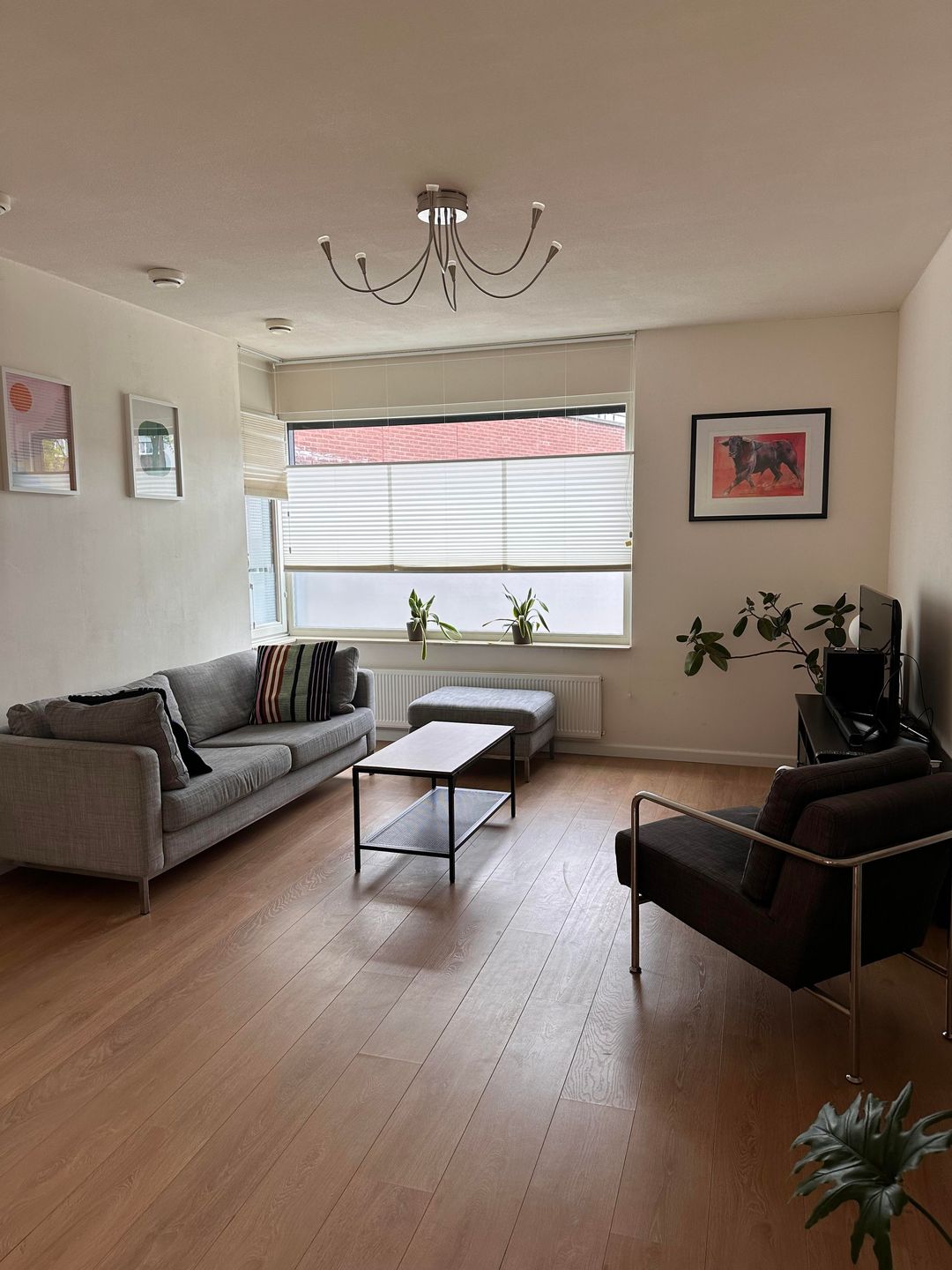 House Image 4
