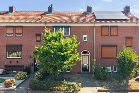 undefined main image