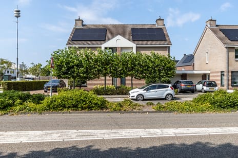 undefined main image