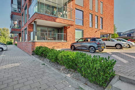 undefined main image
