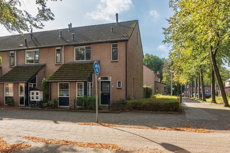 Gagel 24 main image