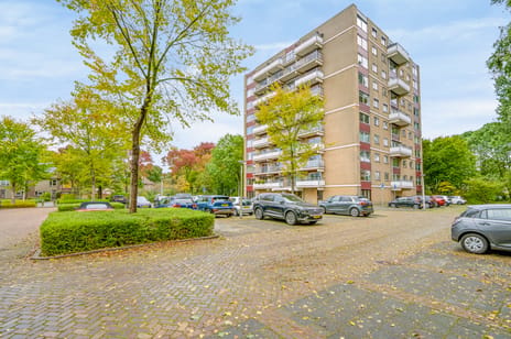 Grote Beer 73 main image