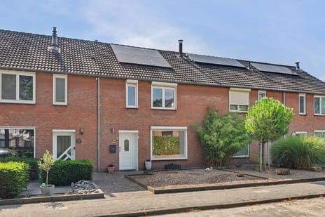 undefined main image