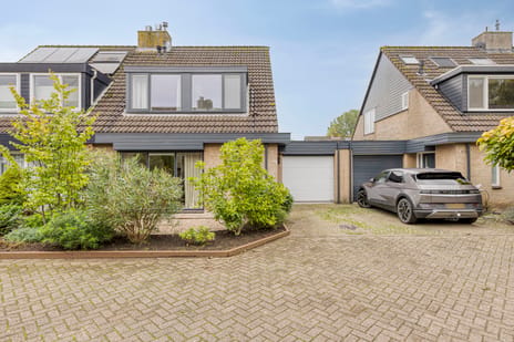 Afbeelding van Ooievaar 7 - Tweede foto