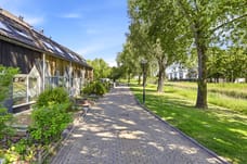 Afbeelding van Kanariesprenk 431 - Derde foto