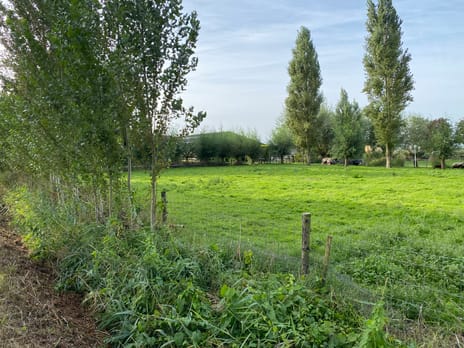 Noord Zuidweg 9-01 tertiary image