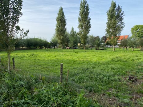 Noord Zuidweg 9-01 secondary image
