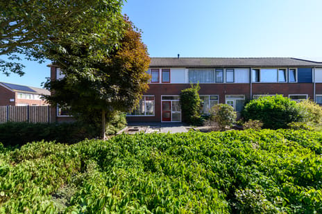 undefined main image