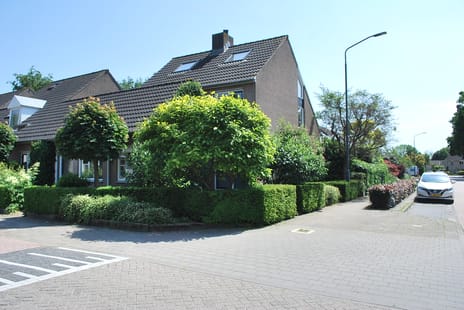 undefined main image