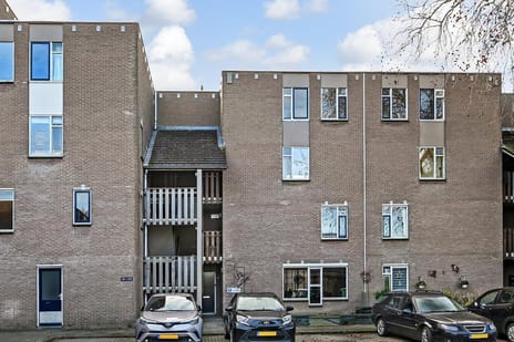 undefined main image