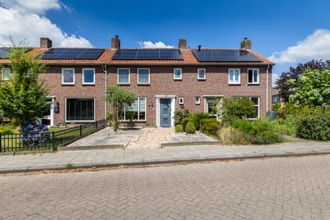 undefined main image