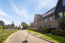 Afbeelding van Hollandse Tuin 5 - Tweede foto