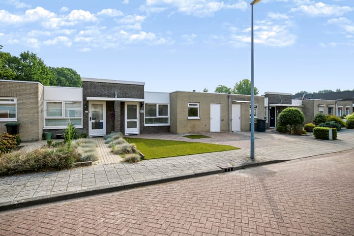 Plevier 17 main image