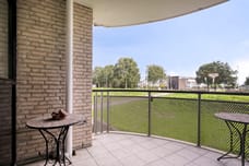 Afbeelding van Sterrekruid 105 - Derde foto