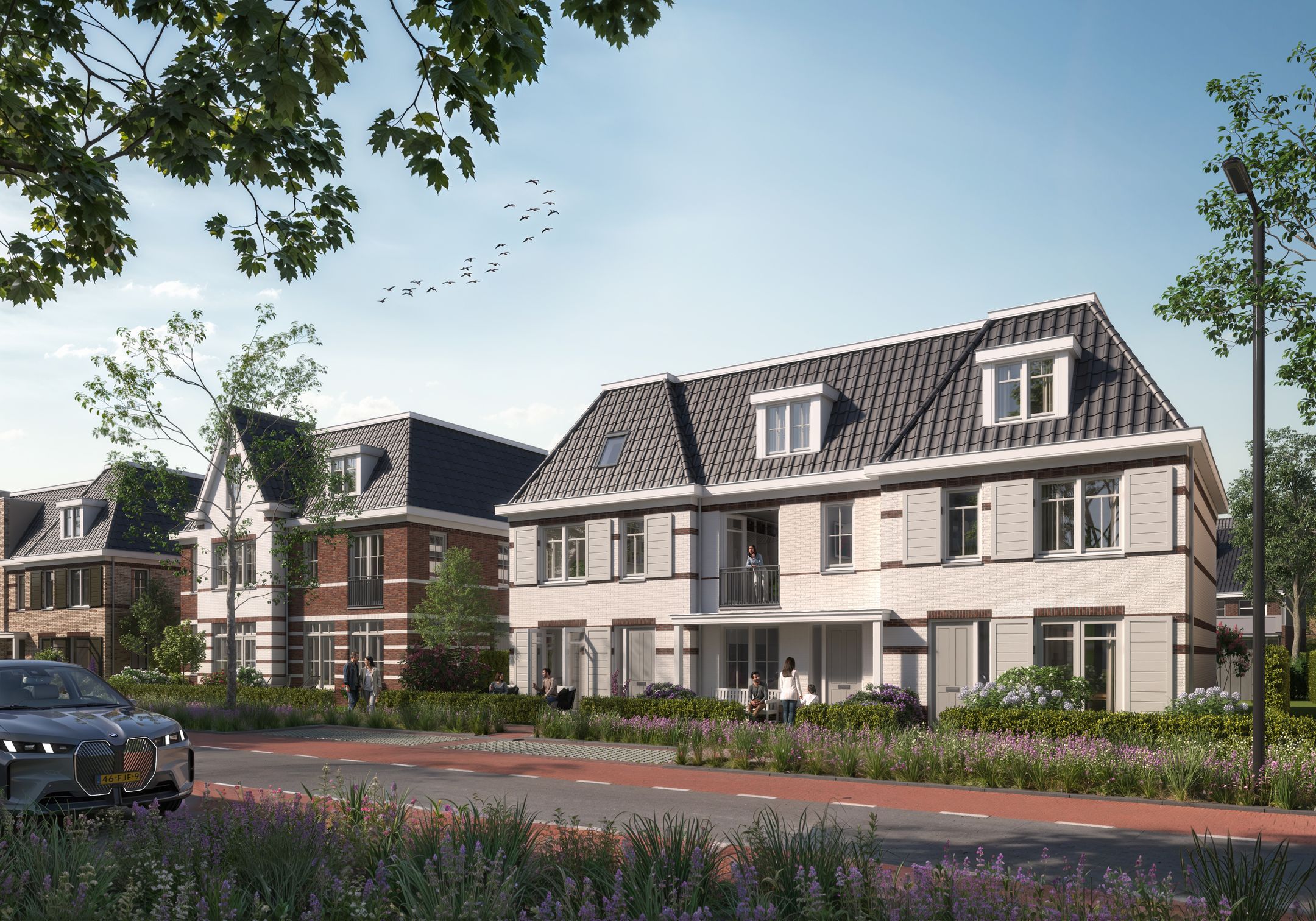 Foto 4 van Waterjuffers  fase 3, Wilgenrijk