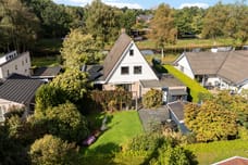 Afbeelding van Hoefblad 15 - Tweede foto