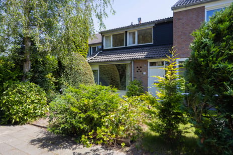 undefined main image