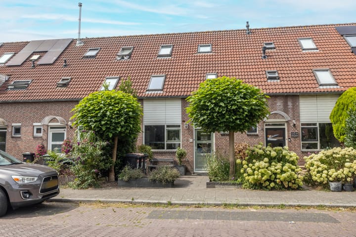 De Waard 91 main image