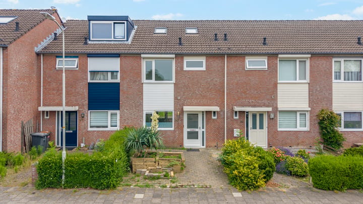 van Ruisdaelstraat 34 main image