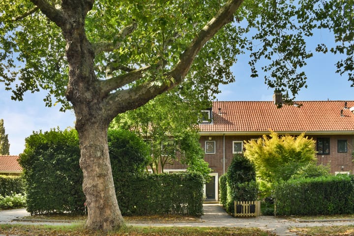 Molenlaan 258 main image