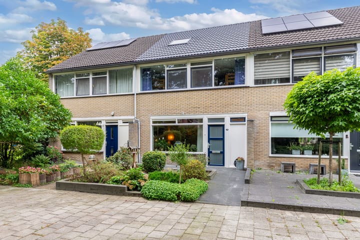 Bûtewacht 39 main image
