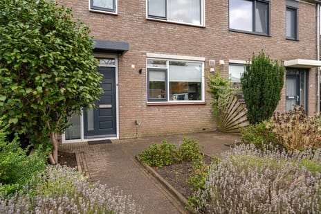 Afbeelding van Hoekwant 4 - Tweede foto