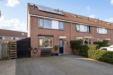 Afbeelding van Speenkruid 13 - Tweede foto