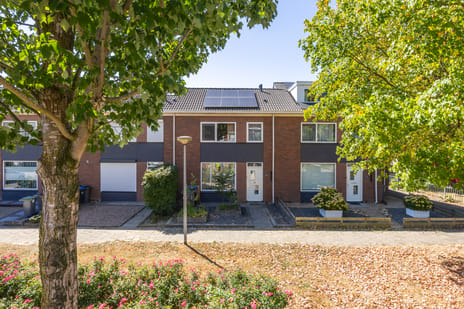 undefined main image