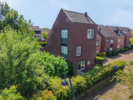 undefined main image