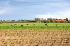 Afbeelding van Kalkestraat 49 - Derde foto