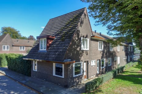 Goltziusstraat 13
