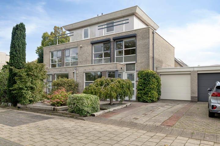 Reuzenpandasingel 176 main image