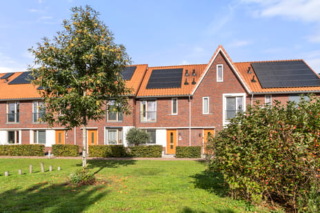 Rietveen 6 main image