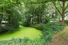 Afbeelding van Nijenheim 1118 - Tweede foto