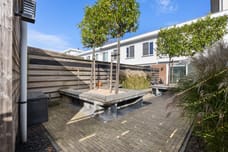 Afbeelding van Waterschorpioen 5 - Derde foto