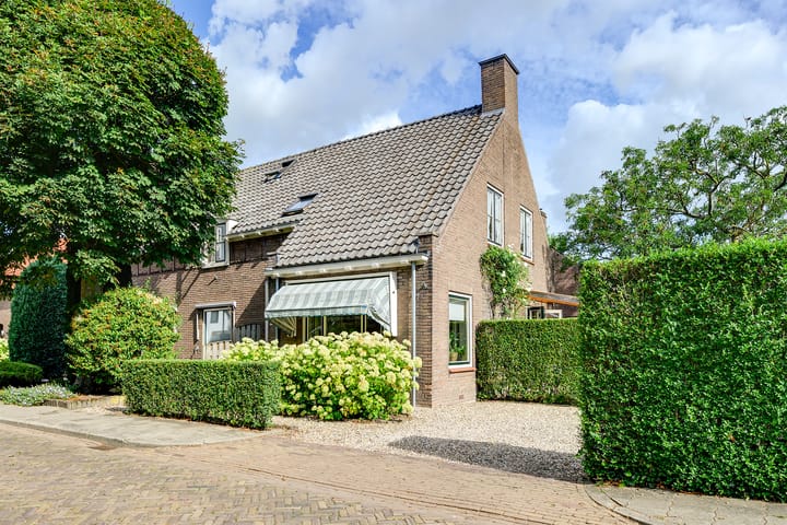 Hoek 10 main image